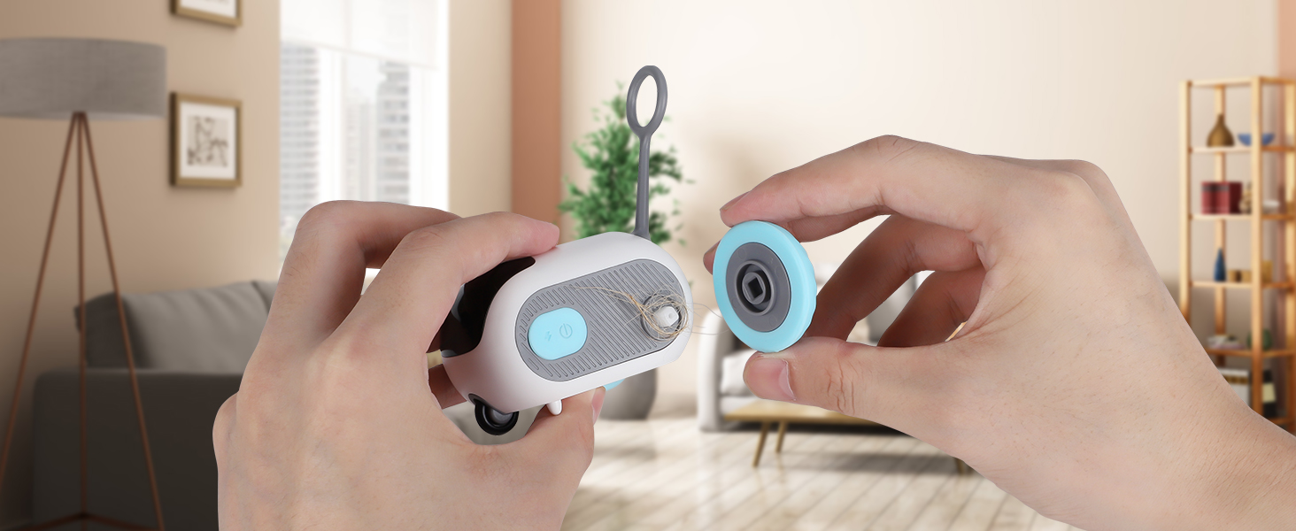 cat interactive toys