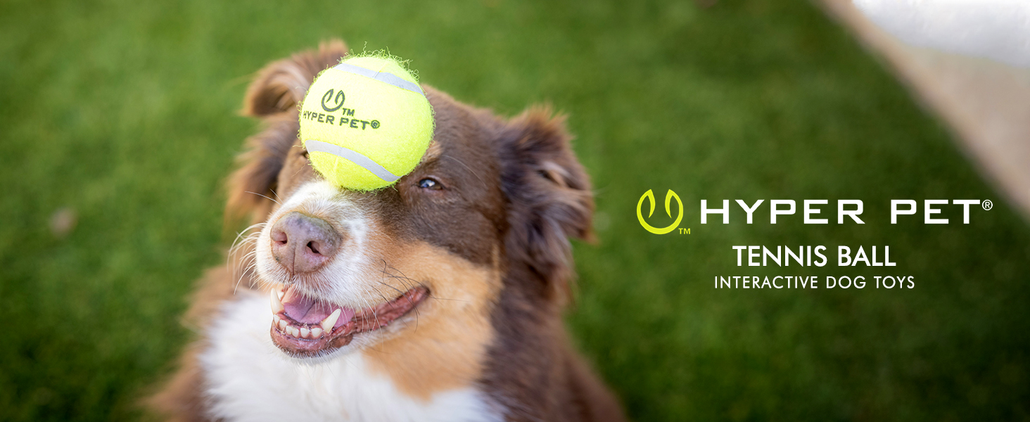 Hyper PetI Tennis Balls
