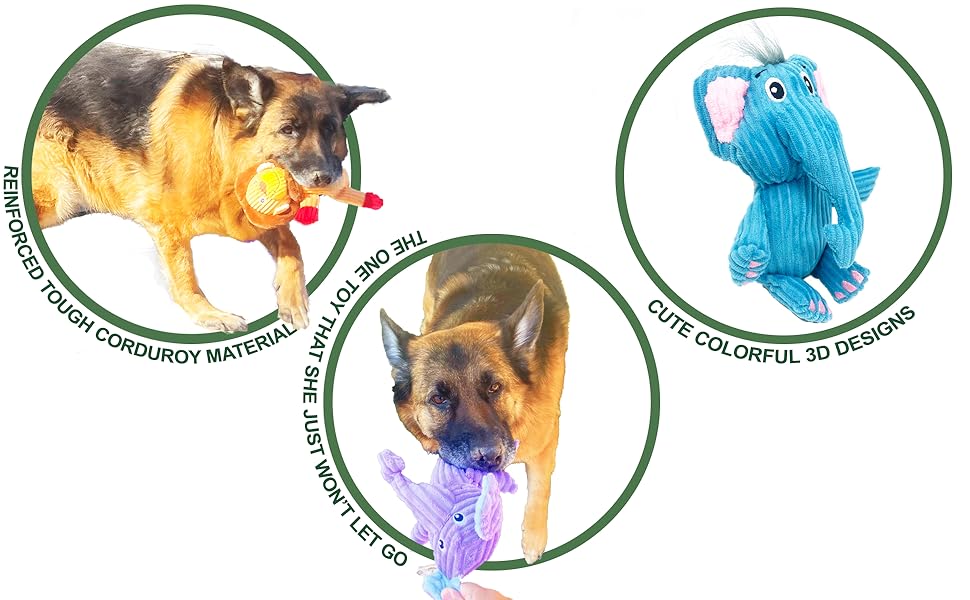dog squeaky toys