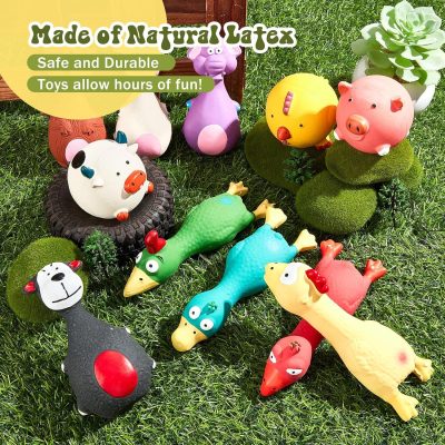 11 Pcs Dog Squeaky Toys Squeaky Latex Dog Toys Soft Chew Rubber Dog Toy Rubber Chew Toys for Dogs Assorted Animal Pet Toys Puppy Fetch Pet Interactive Play for Small and Medium Pets