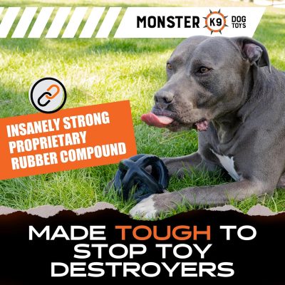 Ring Ball - Lifetime Replacement - Medium & Large Breeds - Ultra Durable Dog Toy for Aggressive Chewers - Chew, Tug, & Fetch - 5.5"