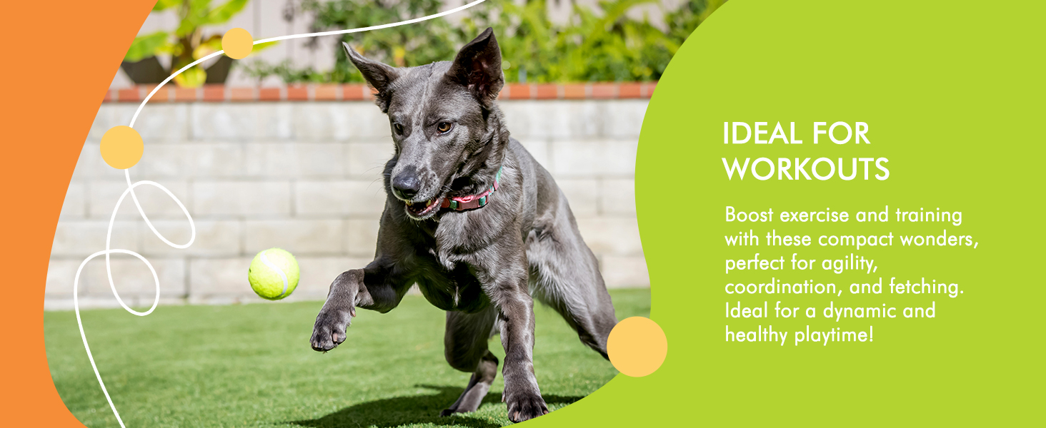 Hyper Pet Tennis Balls