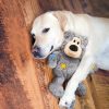 Wild Knots Bear - Internal Knotted Ropes and Minimal Stuffing for Less Mess (Assorted Colors) - For X-Large Dogs