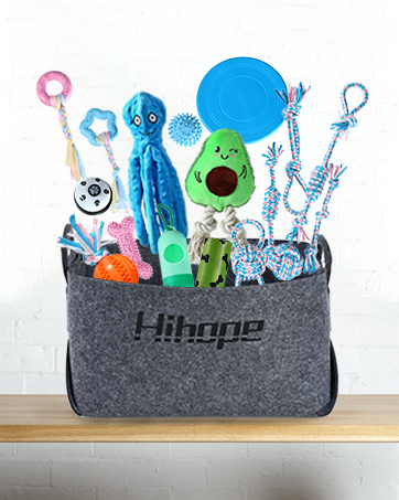dog toy gift