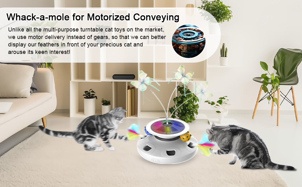 3-in-1 Cat Toys