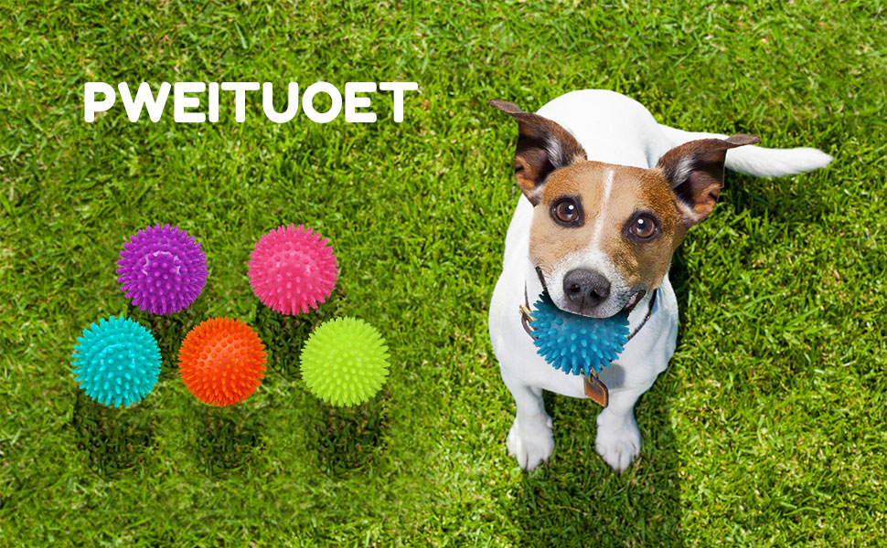 puppy toys
