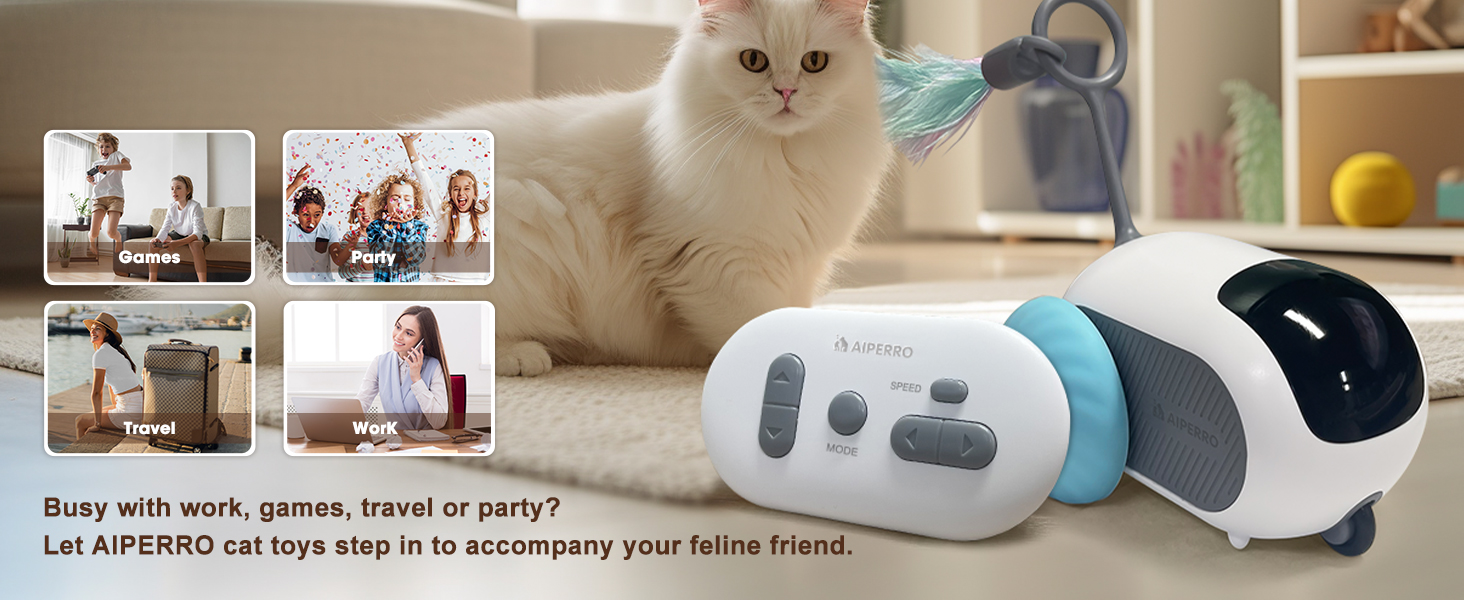 gift for cat