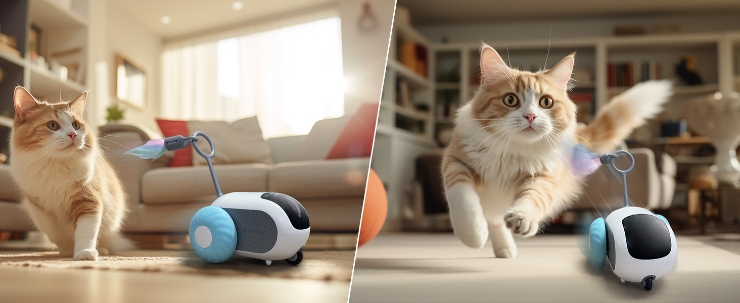 interactive cat toy