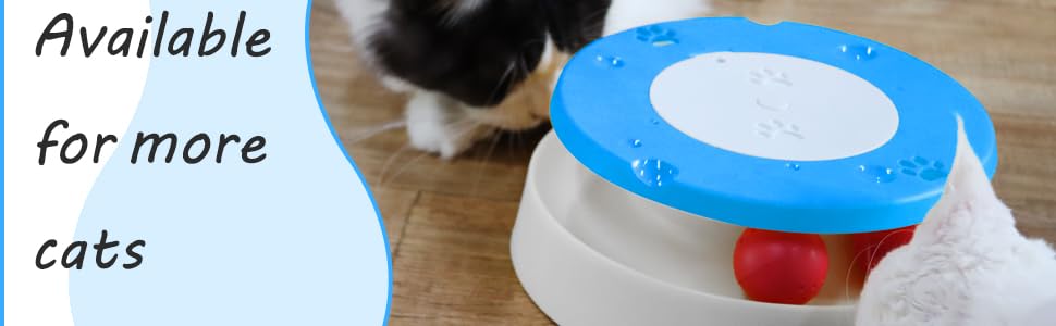 Toys for cats